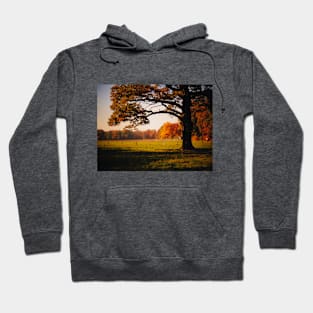 Tree in a Meadow (Vivid) Hoodie